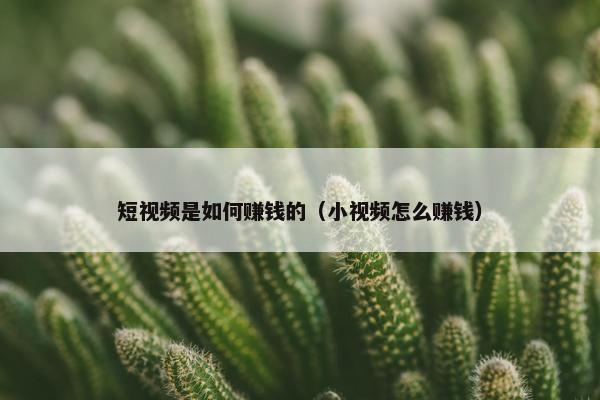 短视频是如何赚钱的（小视频怎么赚钱）