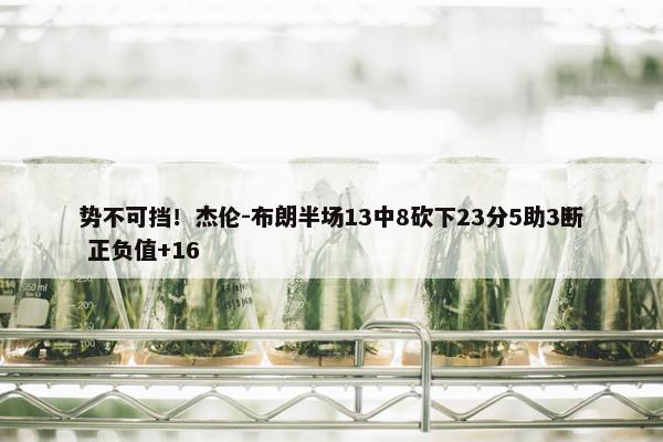 势不可挡！杰伦-布朗半场13中8砍下23分5助3断 正负值+16