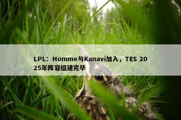 LPL：Homme与Kanavi加入，TES 2025年阵容组建完毕