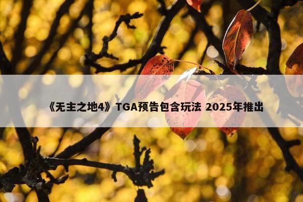 《无主之地4》TGA预告包含玩法 2025年推出