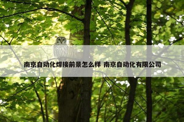 南京自动化焊接前景怎么样 南京自动化有限公司