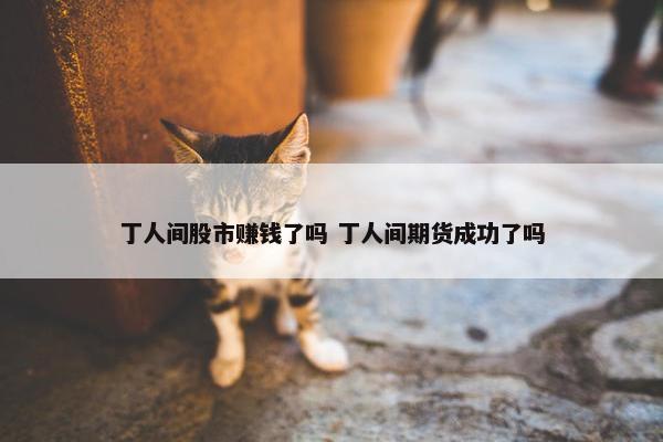 丁人间股市赚钱了吗 丁人间期货成功了吗