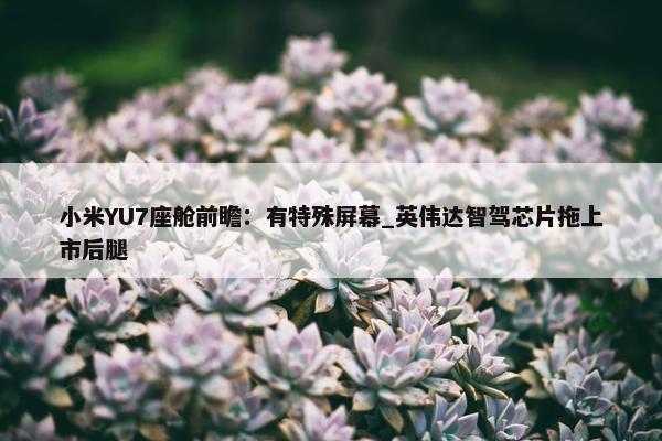 小米YU7座舱前瞻：有特殊屏幕_英伟达智驾芯片拖上市后腿