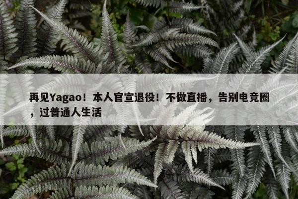 再见Yagao！本人官宣退役！不做直播，告别电竞圈，过普通人生活